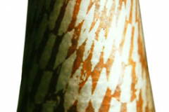 Hand-raised-bowl-9w